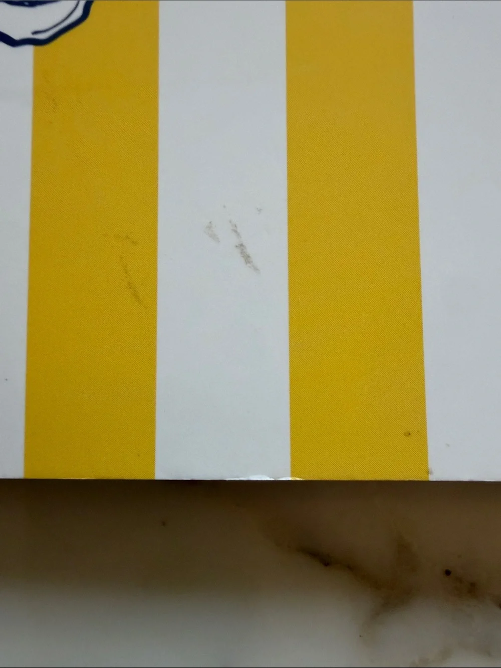 NWOT Denik Classic Layflat Lined Notebook Oyster Yellow Stripe Journal